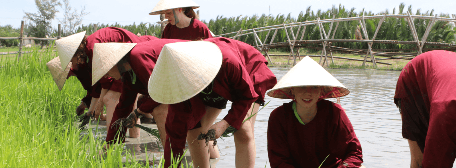 ENVIRONMENTAL CONSERVATION